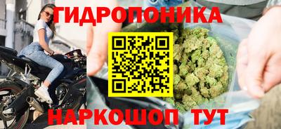 амф Краснокаменск
