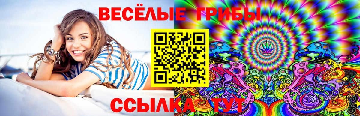 Галлюциногенные грибы Psilocybe Владимир